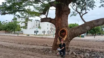 Don Samuel, el guardián del Huanacaxtle en Alturas del Sur