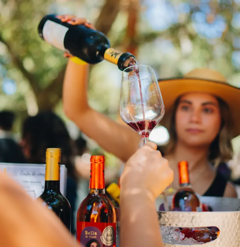 Conoce todos los detalles acerca de las Fiestas de la Vendimia 2025. Foto: Provino Baja California.
