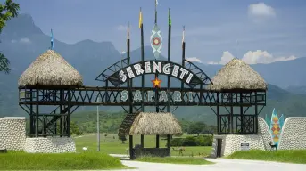 Vive una aventura salvaje en Bioparque Estrella en Monterrey