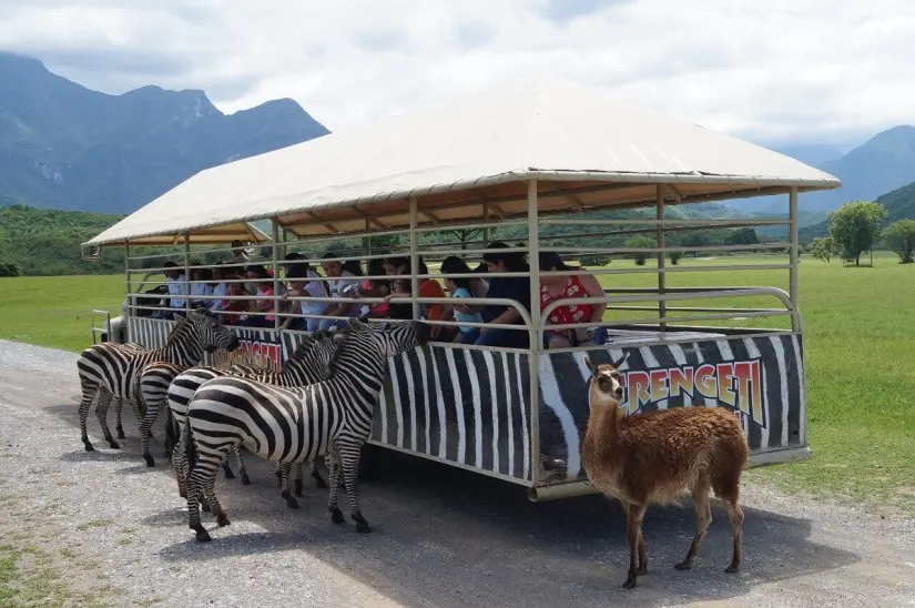 Hay muchas opciones para todos los visitantes. Hay muchas opciones para todos los visitantes. Foto: Cortesía.