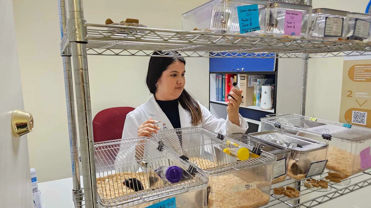 Investigadora de la UAS diseña bebida con café y orujo de oliva para combatir diabetes tipo 2.