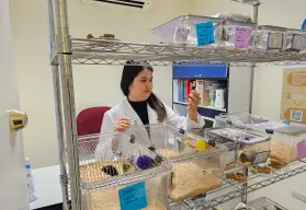 Investigadora de la UAS diseña bebida con café y orujo de oliva para combatir diabetes tipo 2