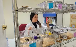 Investigadora de la UAS diseña bebida con café y orujo de oliva para combatir diabetes tipo 2