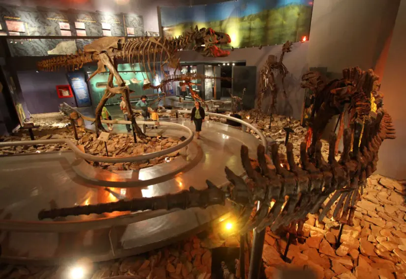 Museo del Desierto en Coahuila. Foto: cortesía Museo del Desierto en Coahuila. Foto: cortesía.