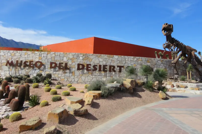 Museo del Desierto en Coahuila. Foto: cortesía Museo del Desierto en Coahuila. Foto: cortesía.