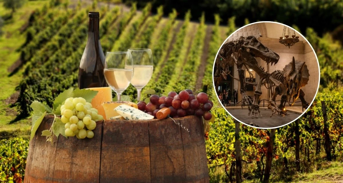 Conoce todas las actividades que ofrece la Ruta Vino y Dinos de Coahuila. Foto: cortesía