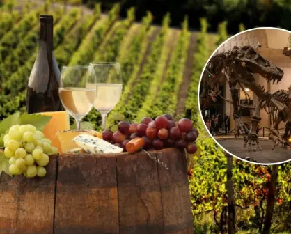 Vinos, fósiles y paisajes, la ruta turística más original de México está en Coahuila