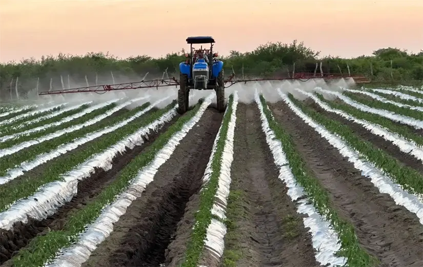 El funcionario también hizo un llamado a hacer reservas de agua. Foto: Cortesía