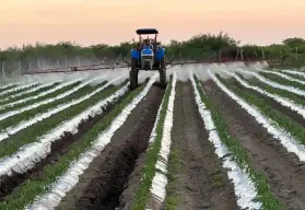 Sinaloa es líder en crecimiento económico de México en el primer trimestre de 2025