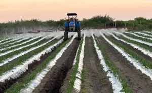 Sinaloa es líder en crecimiento económico de México en el primer trimestre de 2025