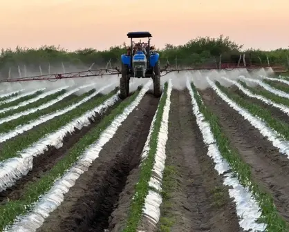 Sinaloa es líder en crecimiento económico de México en el primer trimestre de 2025