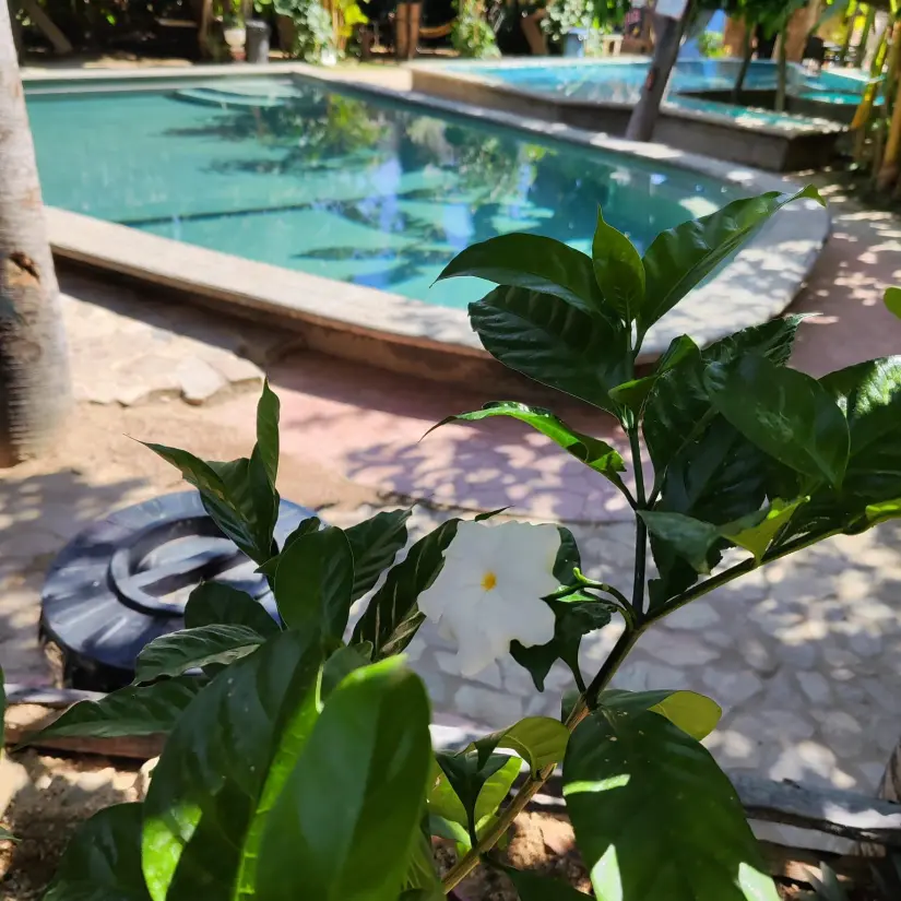 Balneario en San Bartolo.