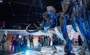 La Edad de Hielo: una experiencia interactiva en el Museo Descubre de Aguascalientes