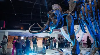 La Edad de Hielo: una experiencia interactiva en el Museo Descubre de Aguascalientes