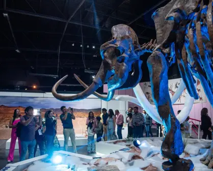 La Edad de Hielo: una experiencia interactiva en el Museo Descubre de Aguascalientes
