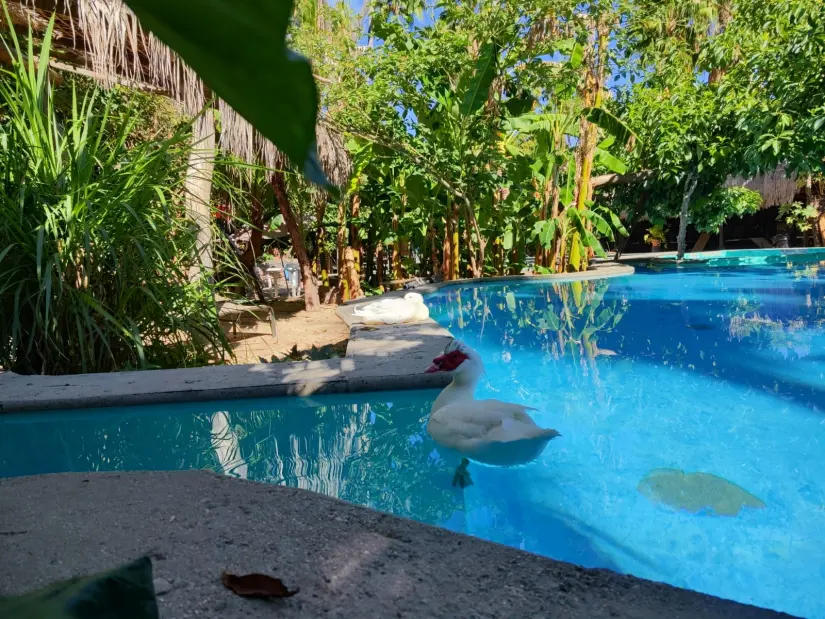 Huerta del Ojo de Agua Oasis San Bartolo