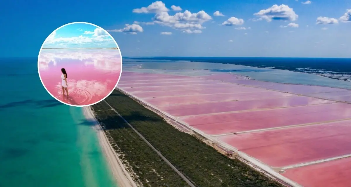 Conoce las actividades que puedes hacer en Las Coloradas, Yucatán. Foto: cortesía