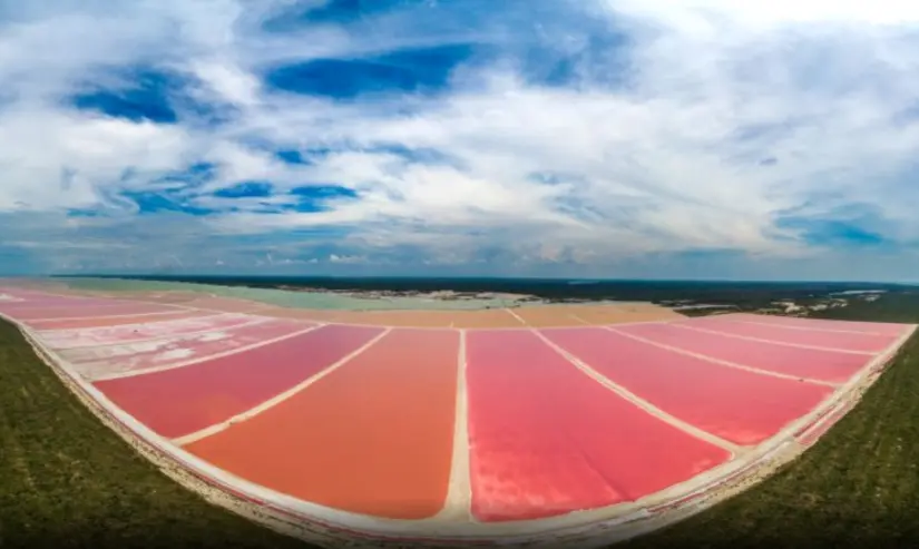 Las Coloradas en Yucatán. Foto: cortesía Las Coloradas en Yucatán. Foto: cortesía.