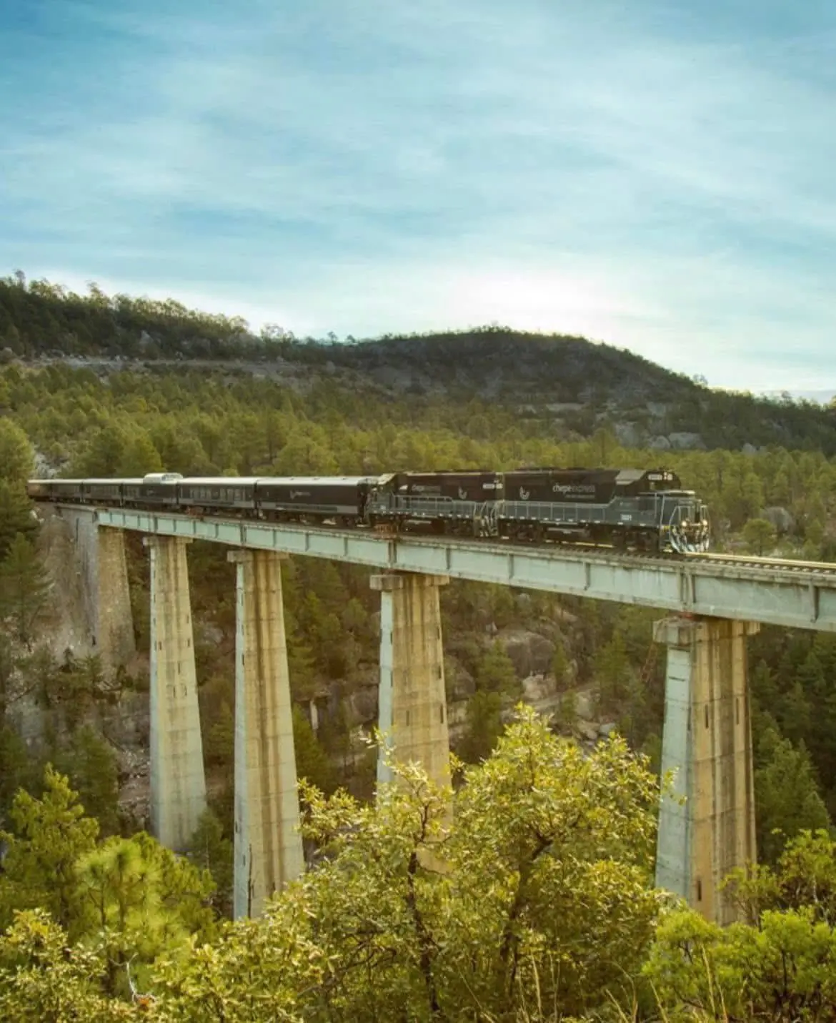 Viaja en tren.