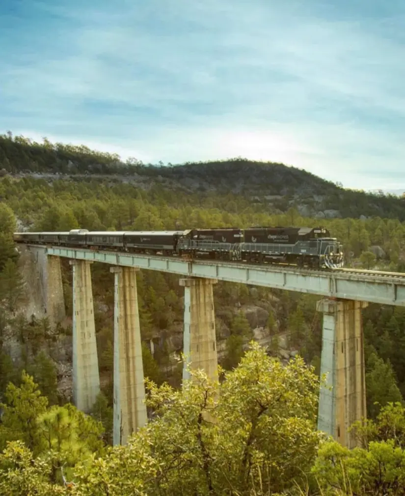 Viaja en tren.