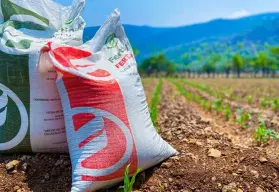 Hoy vence el plazo para inscribirse al programa Fertilizante para el Bienestar 2025 en San Ignacio