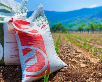 Hoy vence el plazo para inscribirse al programa Fertilizante para el Bienestar 2025 en San Ignacio