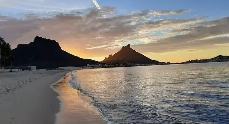 Conoce la vida marina de playa El Tiburón. Foto: Cortesía
