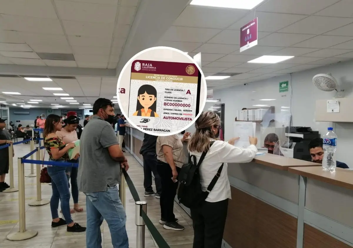 Así puedes conseguir la licencia gratis en Baja California. Foto: Cortesía