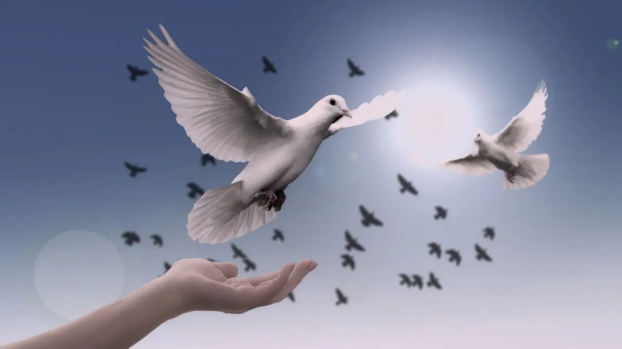 Paz. Imagen. Pixabay.