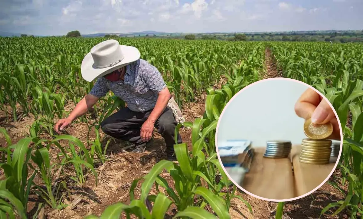 Miles de trabajadores se desempeñan en el sector de agricultura en Michoacán.