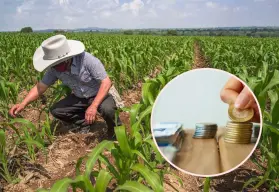 ¿Cuál es el salario mínimo en Michoacán en 2025?