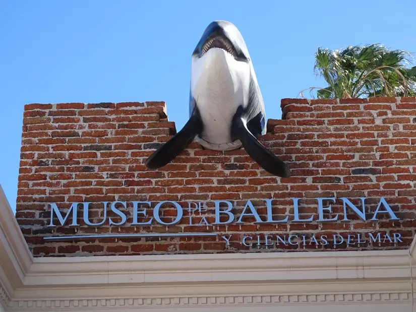 Museo de la Ballena en La Paz ubicado en la Baja Sur. Foto: Cortesía. Museo de la Ballena en La Paz ubicado en la Baja Sur. Foto: Cortesía.