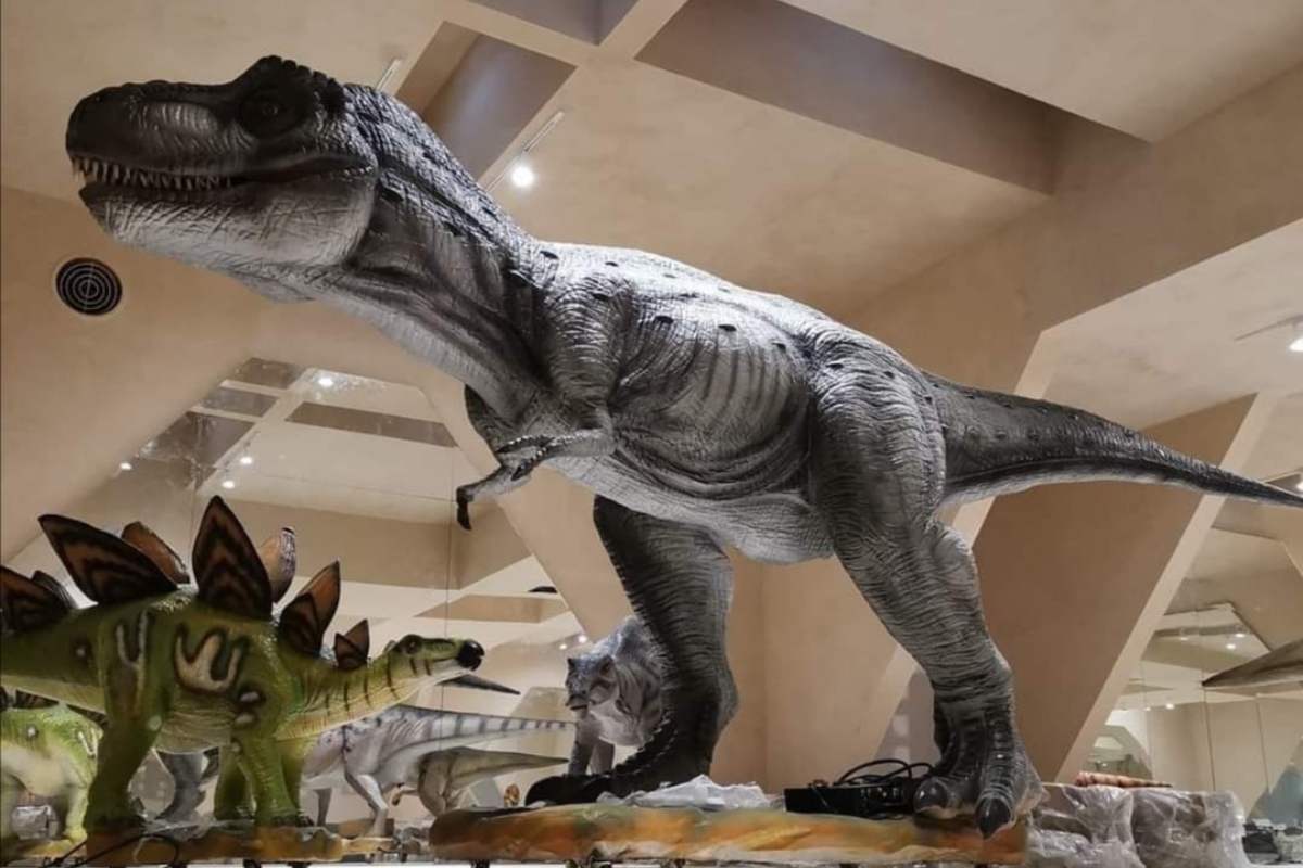 Sumérgete al mundo prehistórico del Museo del Meteorito en Yucatán