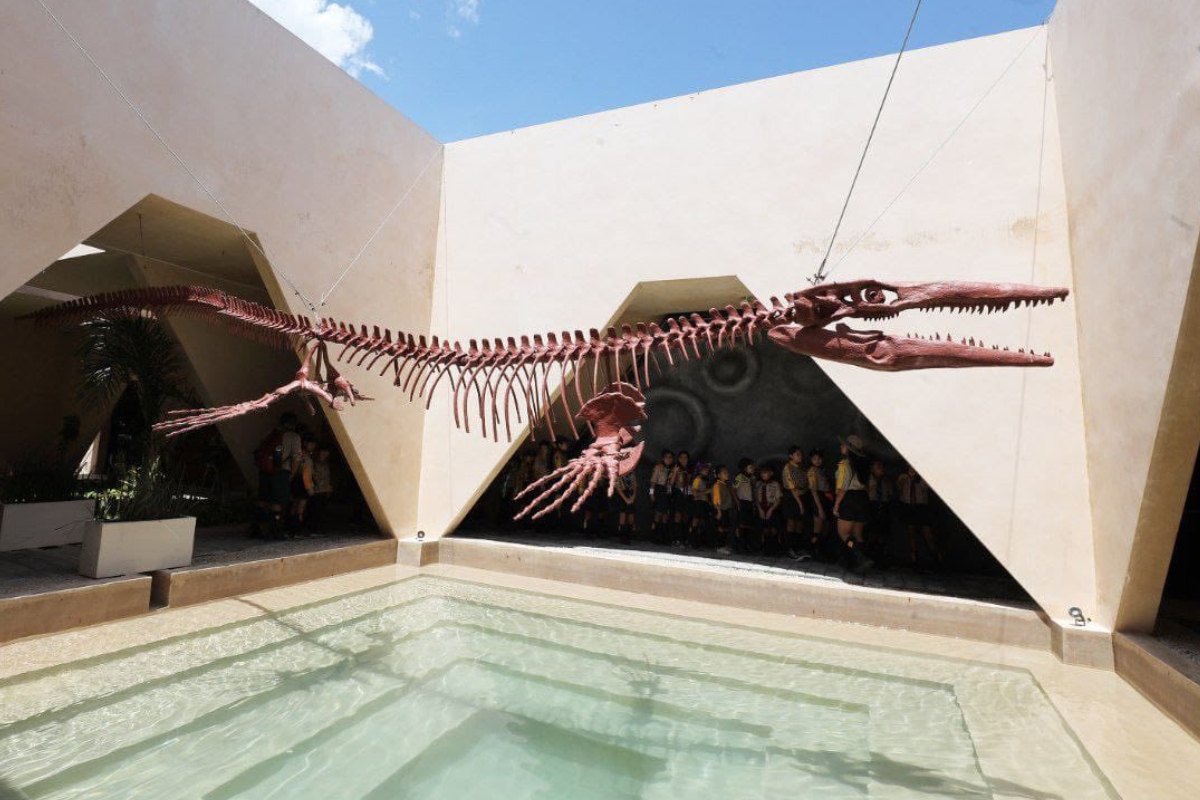 Sumérgete al mundo prehistórico del Museo del Meteorito en Yucatán