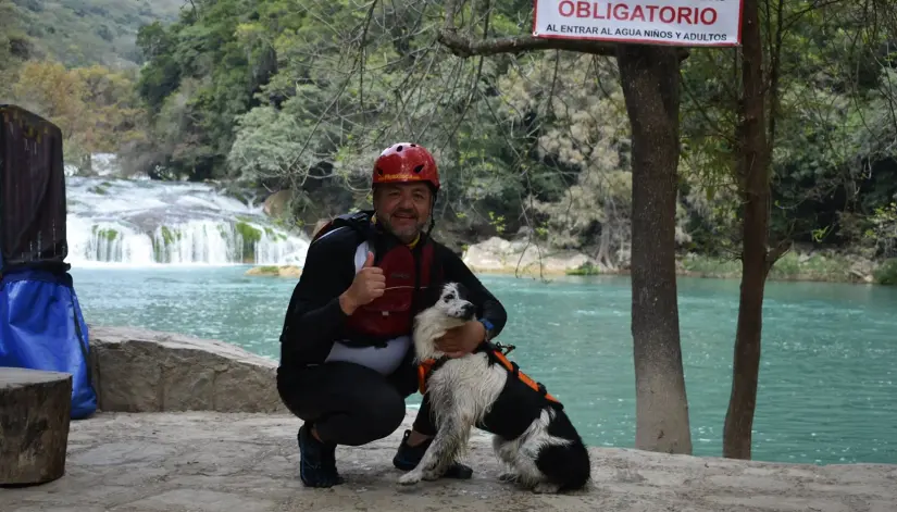?Cascadas de la Huasteca Potosina para conocer junto a tu perro Las cascadas de Micos son reconocidas por aceptar la entrada de mascotas. Foto: Cortesía