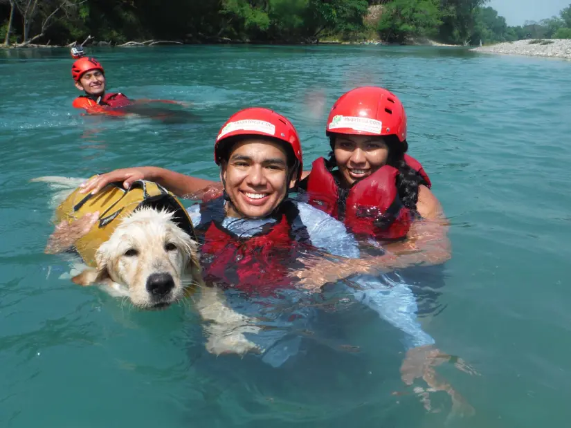 Cascadas de la Huasteca Potosina para conocer junto a tu perro Los lomitos son recibidos en Puente de Dios. Foto: Cortesía