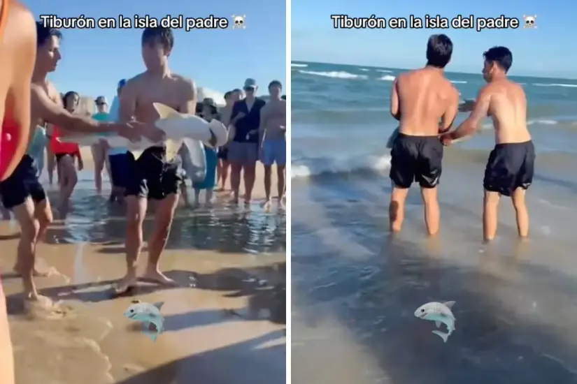 Dos jóvenes de Monterrey rescatan a tiburón bebé en Isla del Padre Se aplauden los esfuerzos de los muchachos. Foto: Instagram