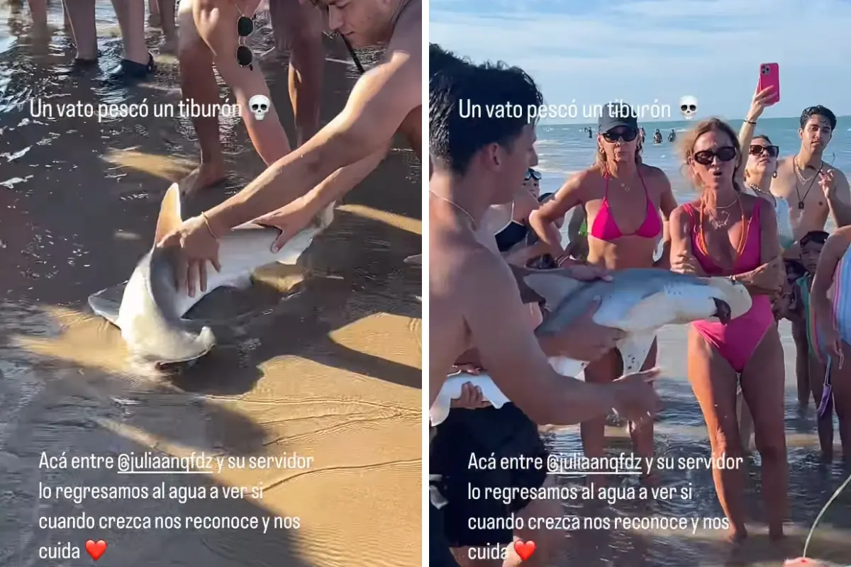 Las apariciones de tiburones en Isla del Padre no son comunes. Foto: Redes sociales