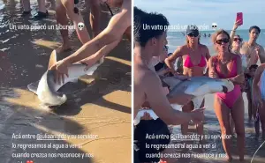 ¡Rescate en la orilla! Jóvenes de Monterrey salvan bebé tiburón en Isla del Padre, Texas
