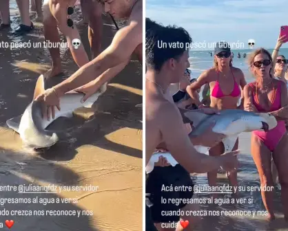 ¡Rescate en la orilla! Jóvenes de Monterrey salvan bebé tiburón en Isla del Padre, Texas