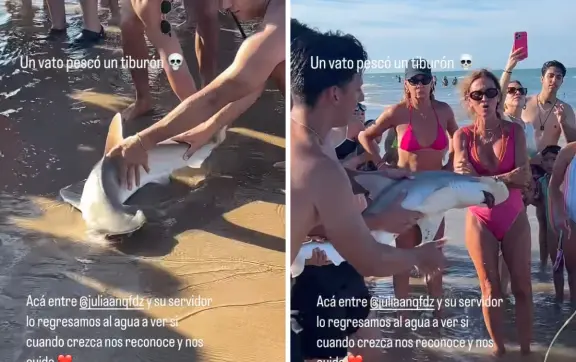 ¡Rescate en la orilla! Jóvenes de Monterrey salvan bebé tiburón en Isla del Padre, Texas