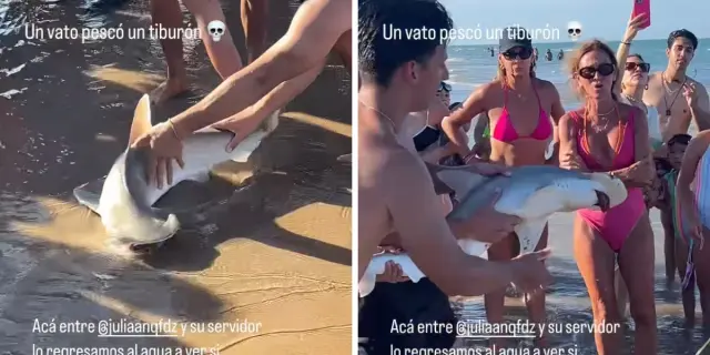 ¡Rescate en la orilla! Jóvenes de Monterrey salvan bebé tiburón en Isla del Padre, Texas