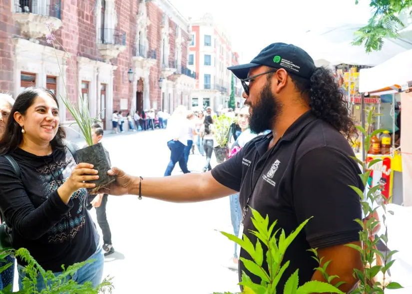 Consigue plantas gratis en Aguascalientes. Foto: Cortesía