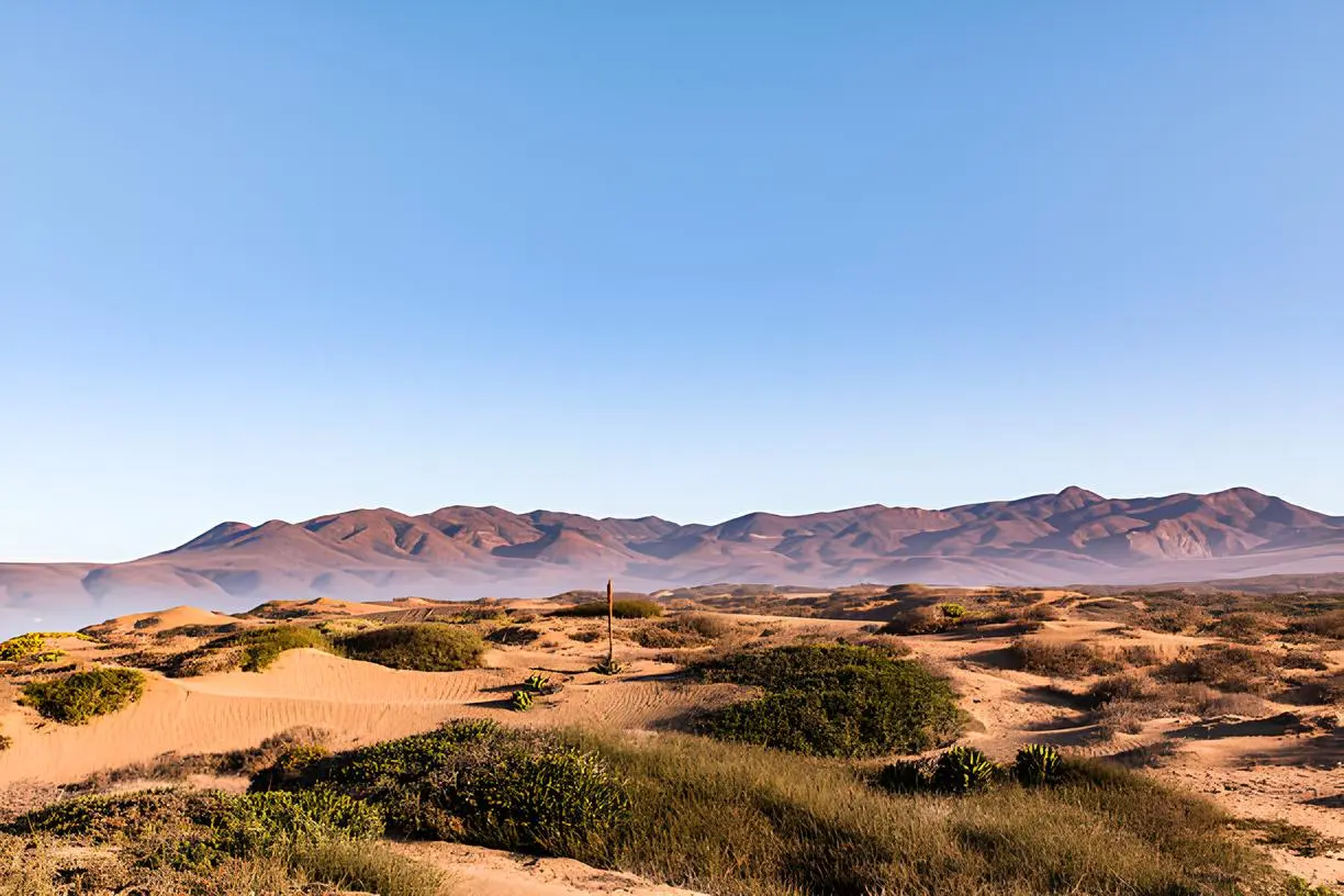 Las vistas de este desierto parecen de otro mundo. Foto: Istock