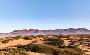 Explora el Desierto de Baja California: el más biodiverso de México