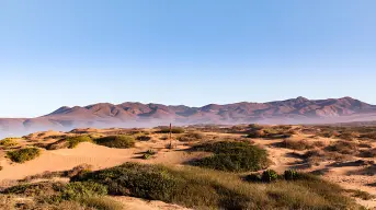 Explora el Desierto de Baja California: el más biodiverso de México