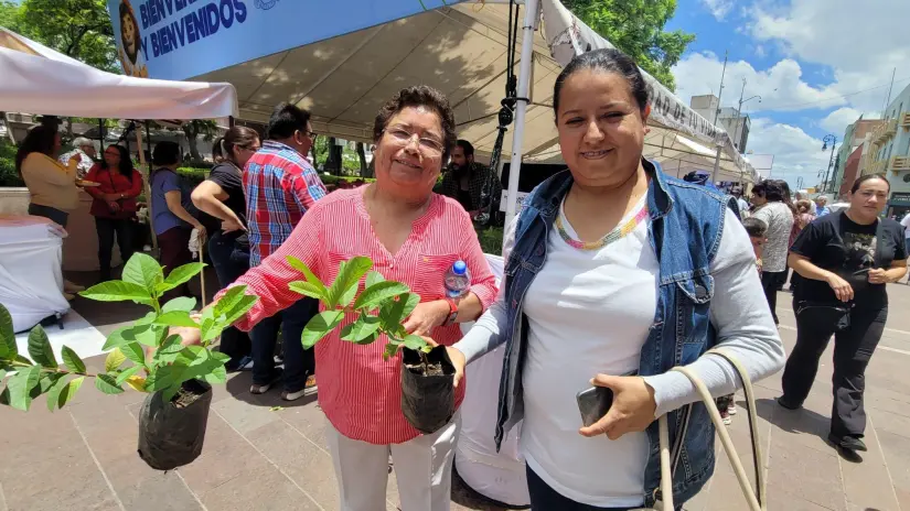 Fechas en que se regalarán plantas en Aguascalientes. Foto: Cortesía