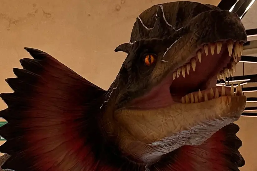 imagen recuadro En el Museo del Meteorito de Progreso, en Yucatán, puedes admirar este animatrónico de dinosaurio.