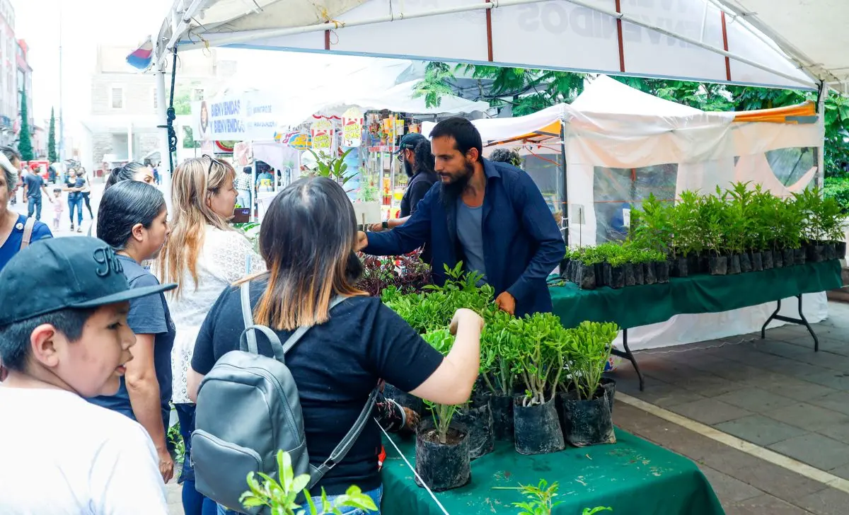 Consigue plantas gratuitas en el municipio de Aguascalientes. Foto: Cortesía