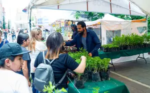 Regalan plantas en Aguascalientes por el quincenario de la Virgen de la Asunción; lugar y horario
